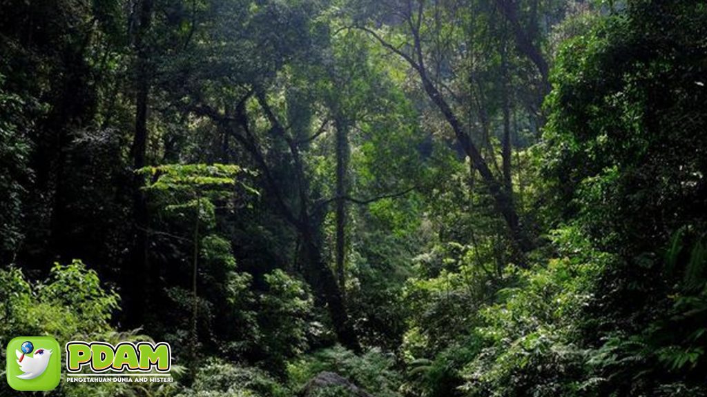Menguak Misteri Pemuda Ponorogo Hilang: Diajak Wanita Gaib?
