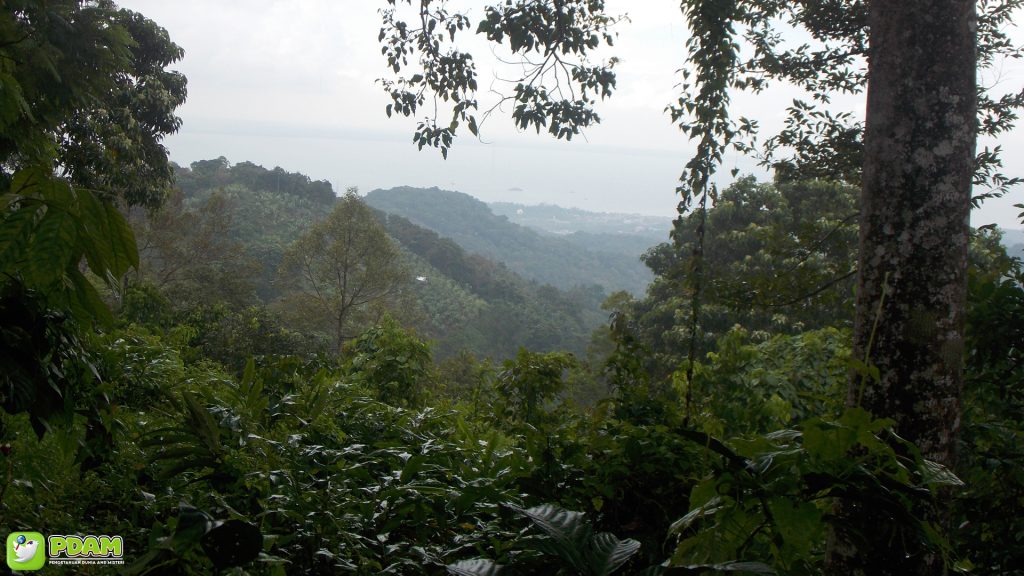 Misteri Gunung Sebatung: Legenda dan Fakta Menakjubkan