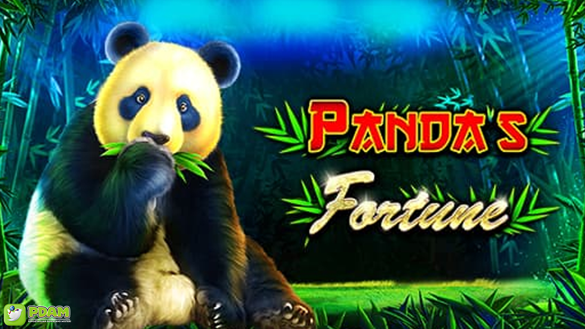 Slot Panda's Fortune: Keberuntungan Besar Menunggu Anda