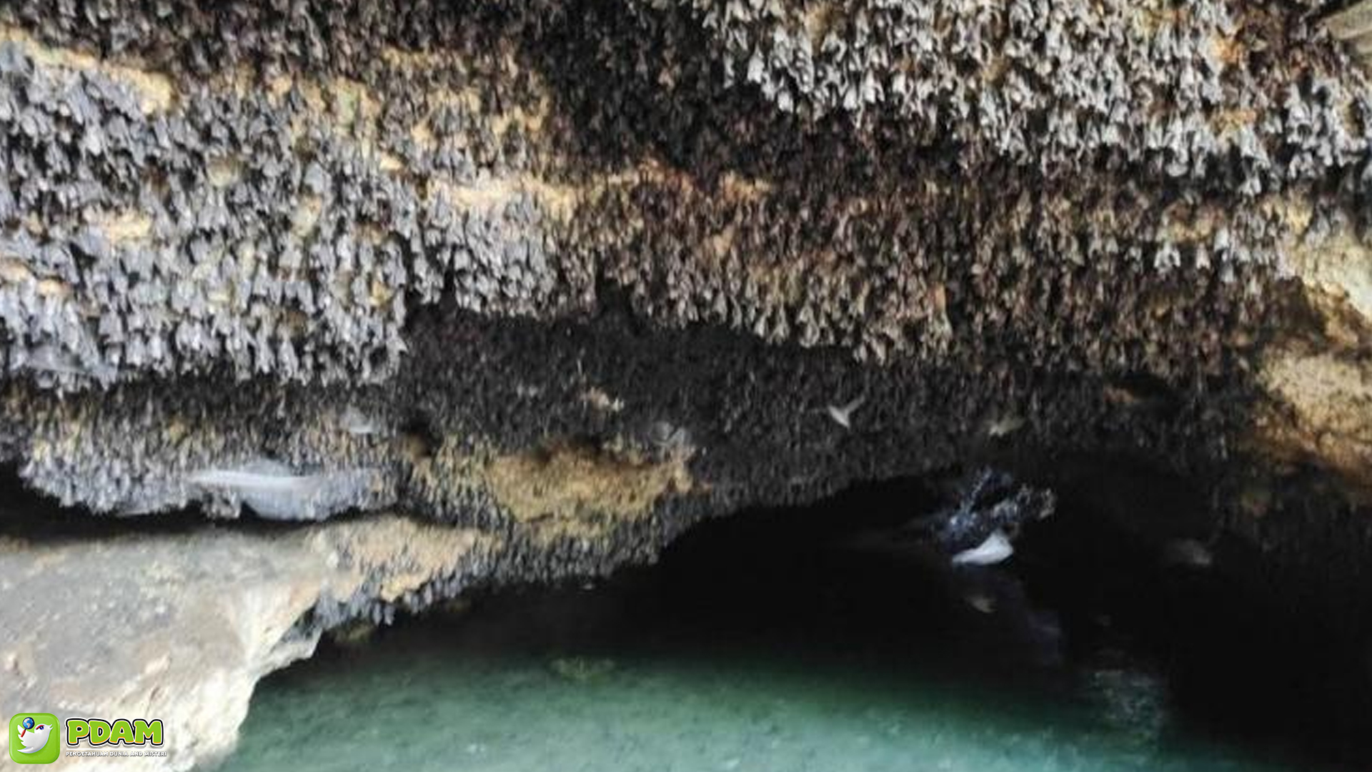 Gua Ngerong, Keajaiban Alam yang Patut Dicoba Dikunjungi