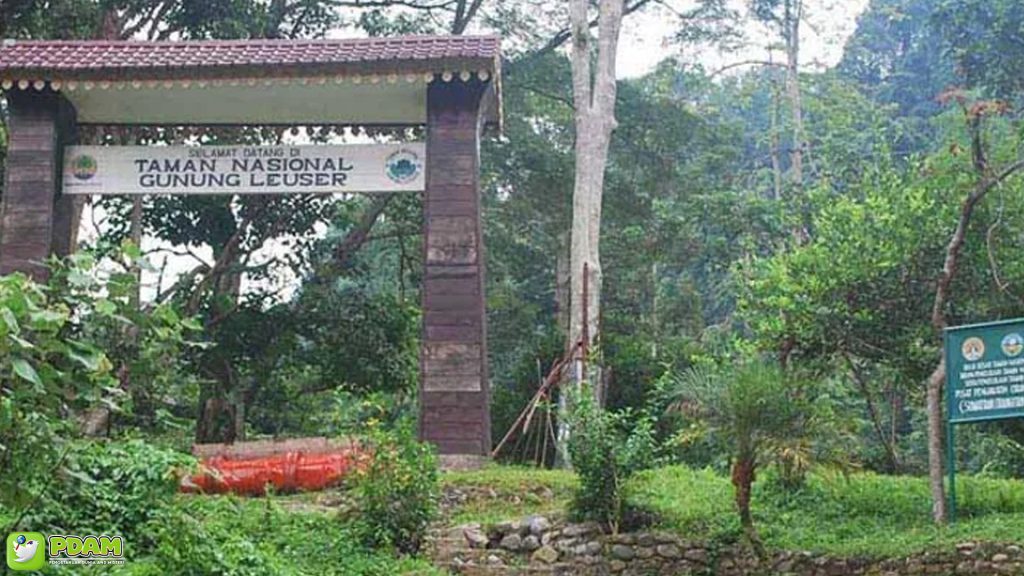 Menguak Tabir Misteri Gunung Leuser yang Memukau Jiwa