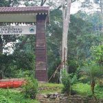 Menguak Tabir Misteri Gunung Leuser yang Memukau Jiwa