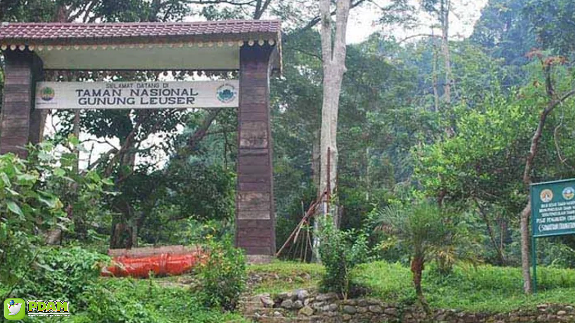 Menguak Tabir Misteri Gunung Leuser yang Memukau Jiwa