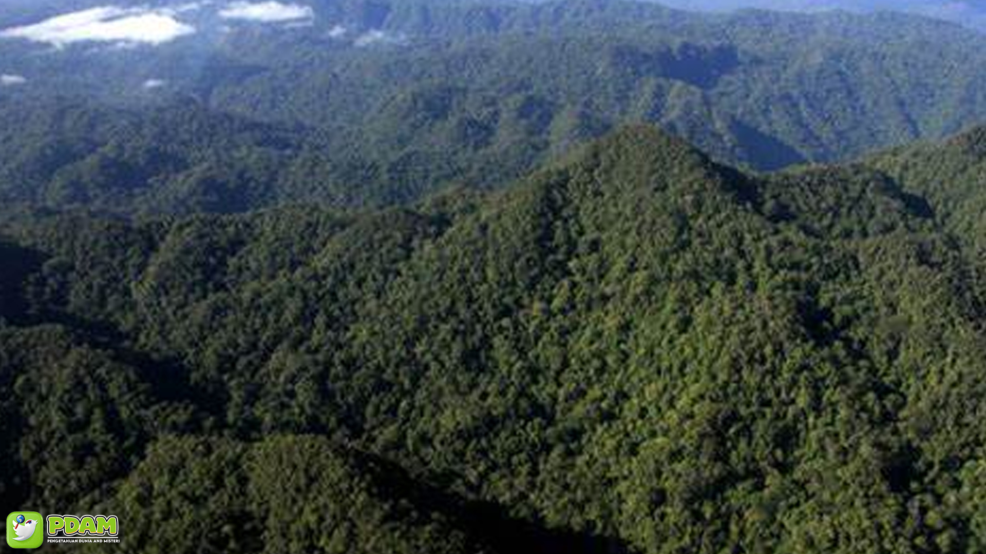 Gunung Goh dan Kisah Mistis yang Mengundang Rasa Penasaran