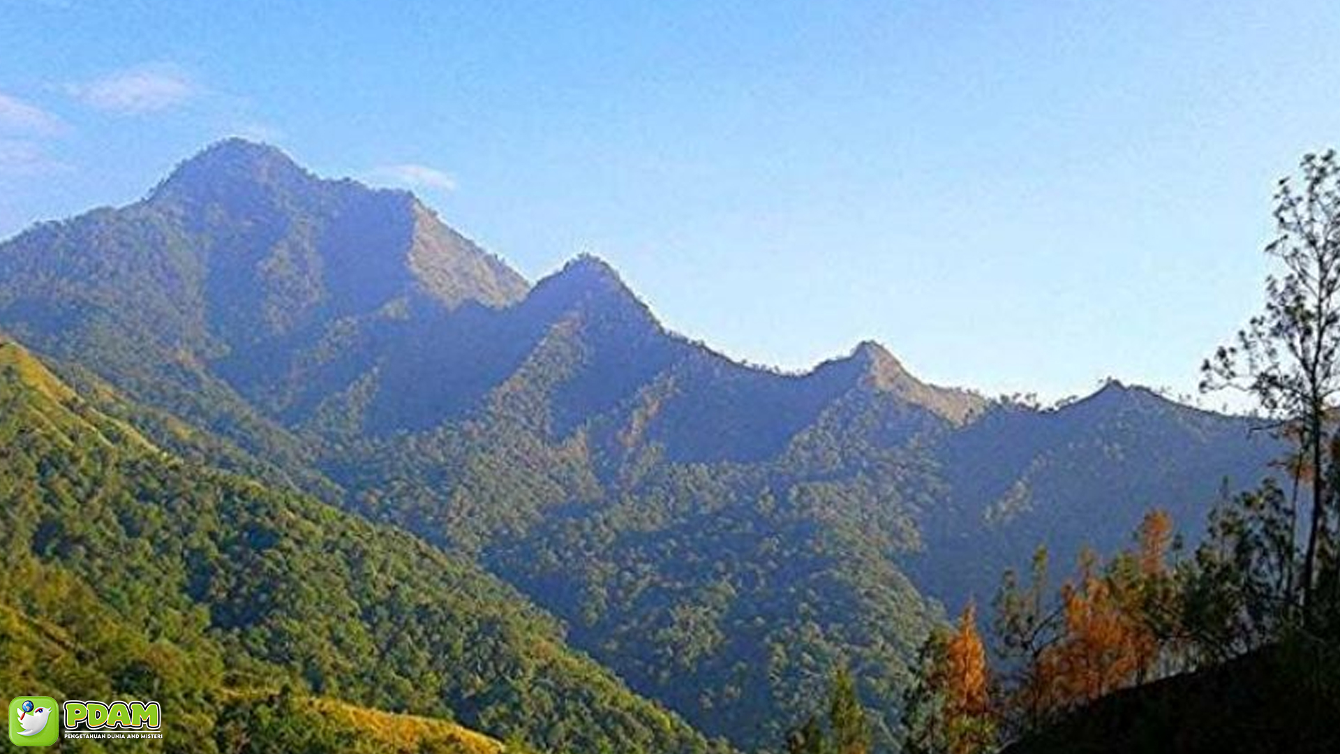 Mengintip Kisah Misteri Tersembunyi Gunung Wilis yang Tak Biasa