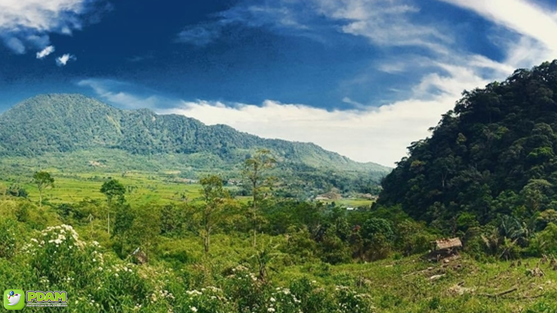 Menguak Tabir Misteri Gunung Leuser yang Memukau Jiwa
