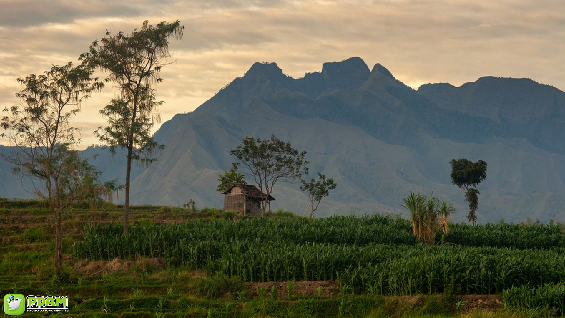 Gunung Anjasmoro, Tempat Di Mana Misteri Bersemayam