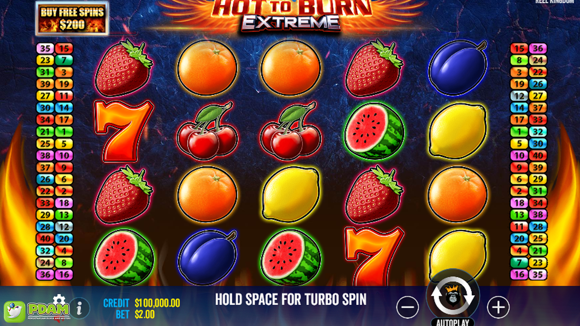 Daftar Ruby8000 Kini Hot to Burn Extreme Siap Pasti Meledak