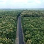 Hutan Jati Blora: Tempat di Mana Misteri & 5 Cerita Mistis Bertemu 5 Hutan Jati Blora: Tempat di Mana Misteri & 5 Cerita Mistis Bertemu