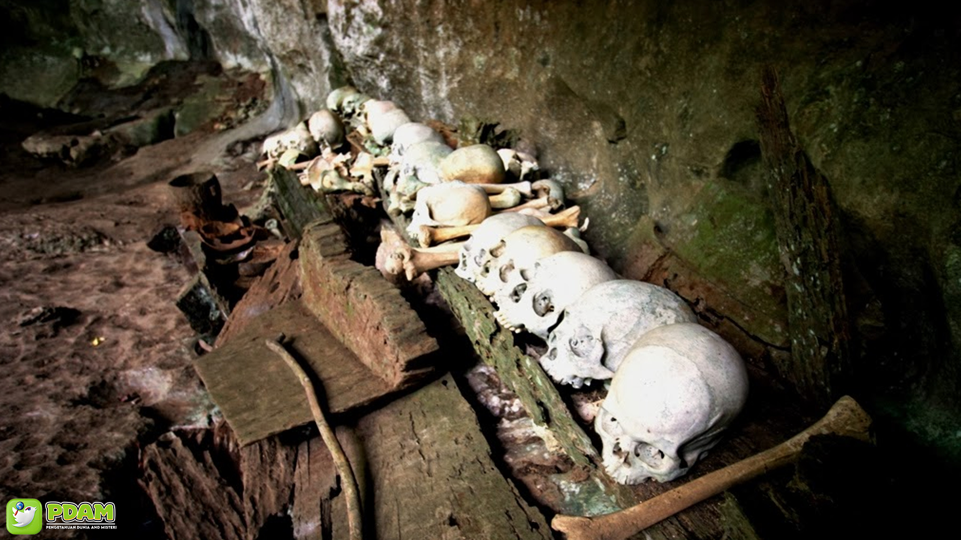 Misteri Gua Londa: Di Antara Tengkorak dan Tradisi Abadi