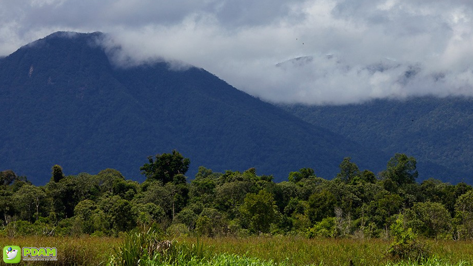 Misteri Gunung Palung yang Terungkap dalam 2 Fakta Menarik 4 Misteri Gunung Palung yang Terungkap dalam 2 Fakta Menarik