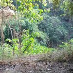 Cerita Mistis Mencekam di Gua Laler dengan 4 Kejadian Aneh