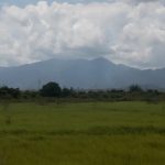 Misteri Gunung Palung yang Terungkap dalam 2 Fakta Menarik 6 Misteri Gunung Palung yang Terungkap dalam 2 Fakta Menarik