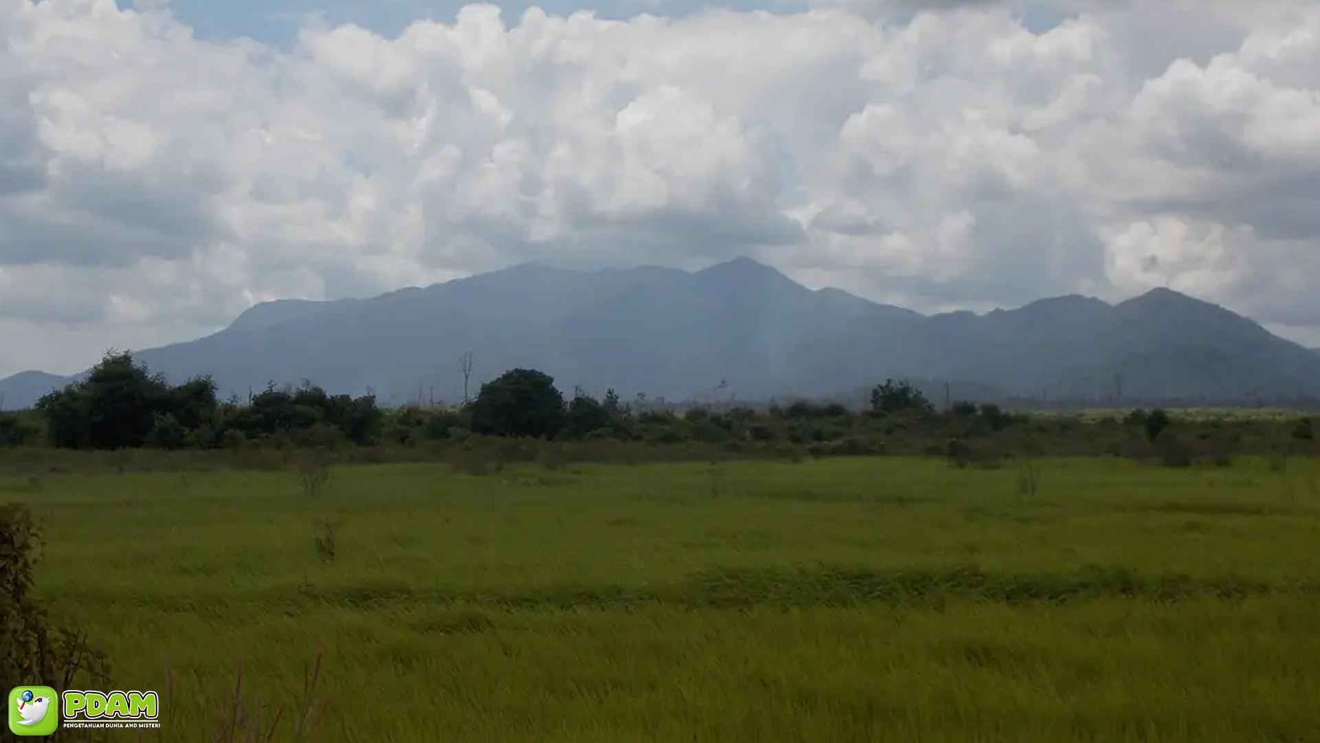 Misteri Gunung Palung yang Terungkap dalam 2 Fakta Menarik 3 Misteri Gunung Palung yang Terungkap dalam 2 Fakta Menarik