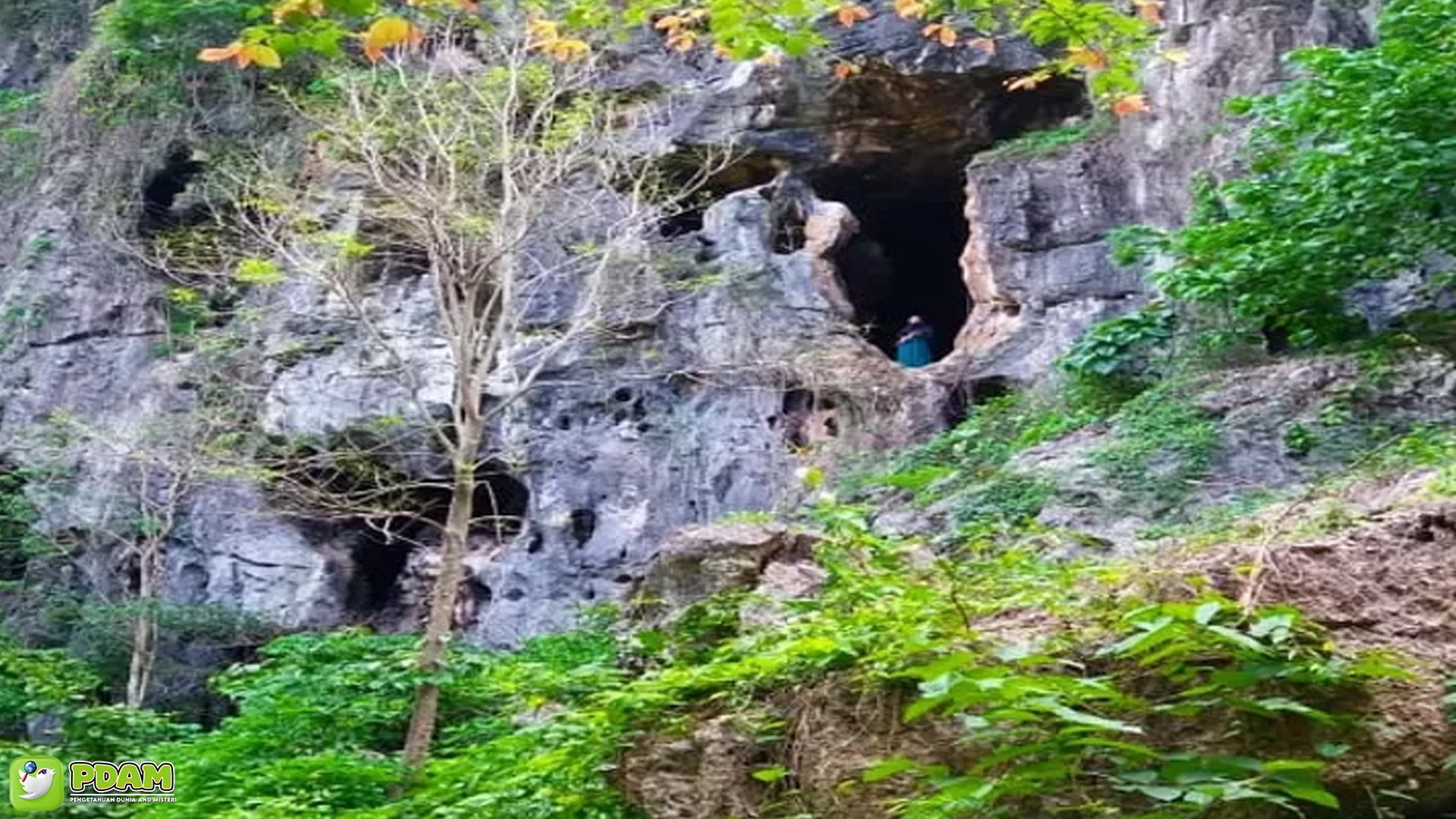 Cerita Mistis Mencekam di Gua Laler dengan 4 Kejadian Aneh