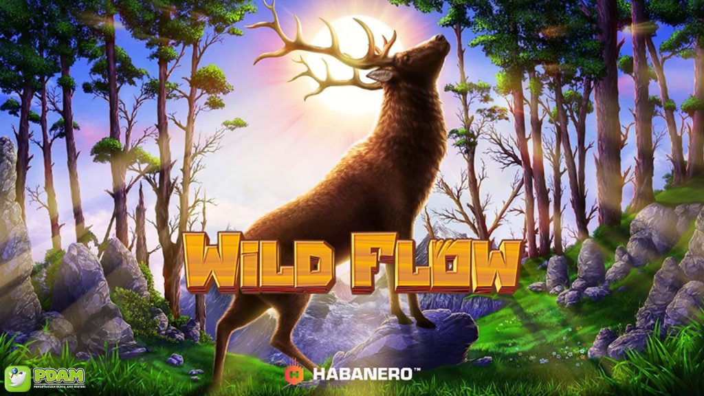 Cnn Slot Mainkan Wild Flow Bersama 4 Gelombang Brutal