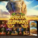 Ruby8000 Login: African Elephant Guncang Slot Ala Safari Gila