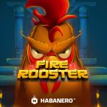 Main Fire Rooster Slot Online Malam Hari, Hasilnya Mengejutkan