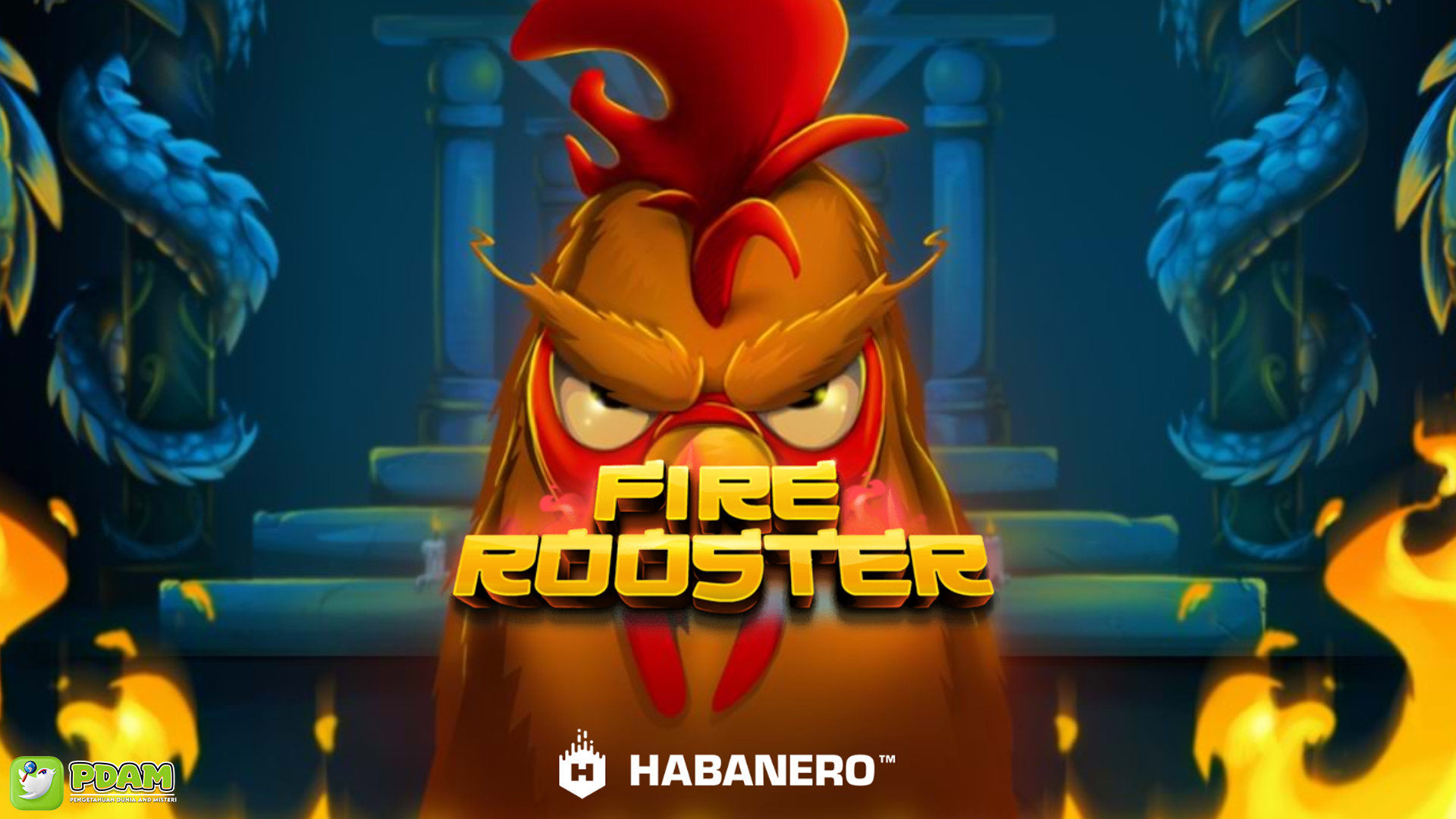 Main Fire Rooster Slot Online Malam Hari, Hasilnya Mengejutkan