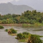 Sungai Brantas: 4 Kejadian Misterius Jarang Diketahui Orang