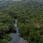 Hutan Leuweung Sancang: 3 Tempat Angker yang Wajib Tahu