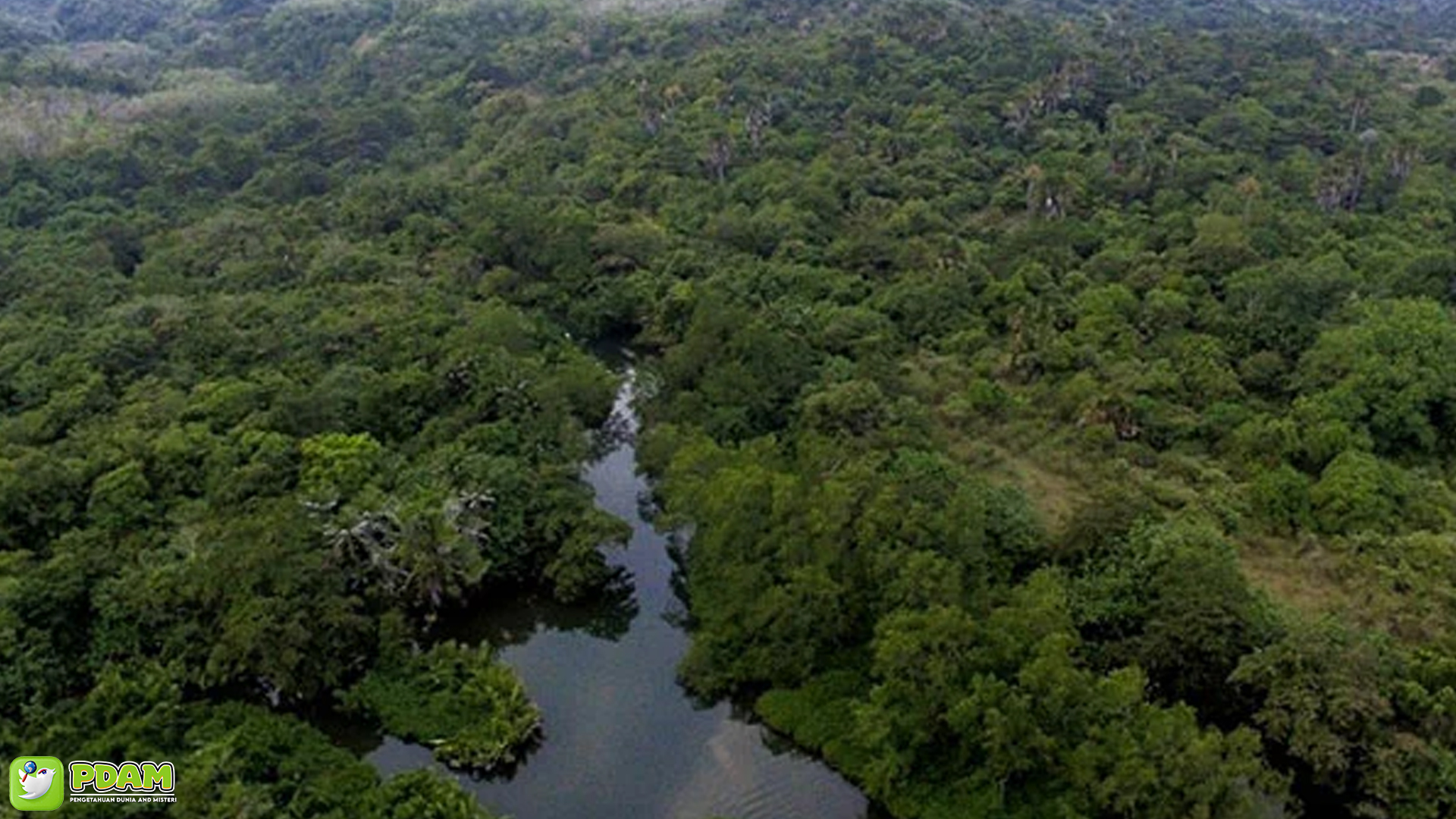 Hutan Leuweung Sancang: 3 Tempat Angker yang Wajib Tahu
