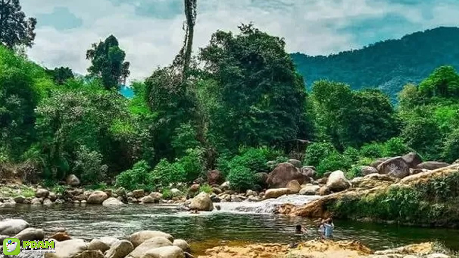Hutan Sungai Bening: 5 Misteri yang Bikin Penasaran Penjelajah 4 Hutan Sungai Bening: 5 Misteri yang Bikin Penasaran Penjelajah
