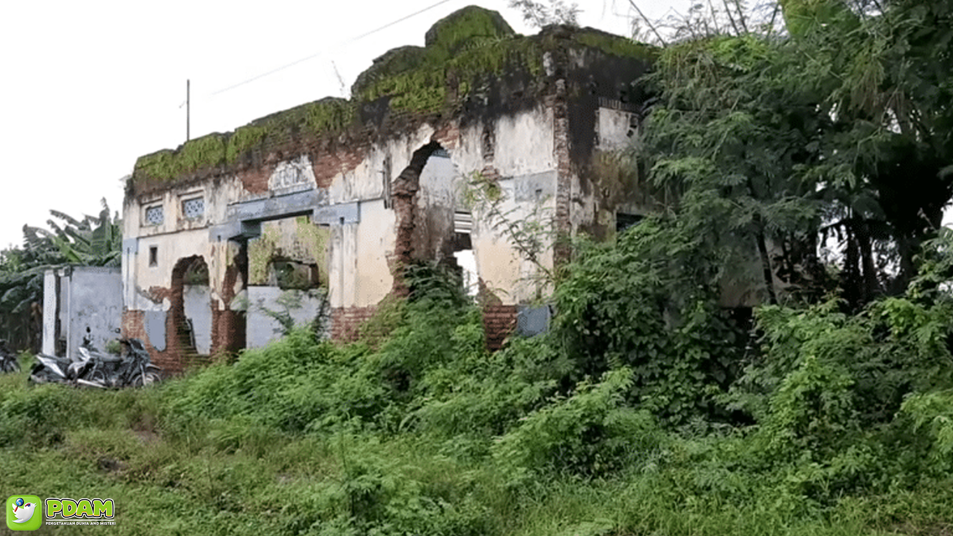 Mengintip Misteri Stasiun Kaliwedi dan 5 Fenomena Tak Terduga 3 Mengintip Misteri Stasiun Kaliwedi dan 5 Fenomena Tak Terduga