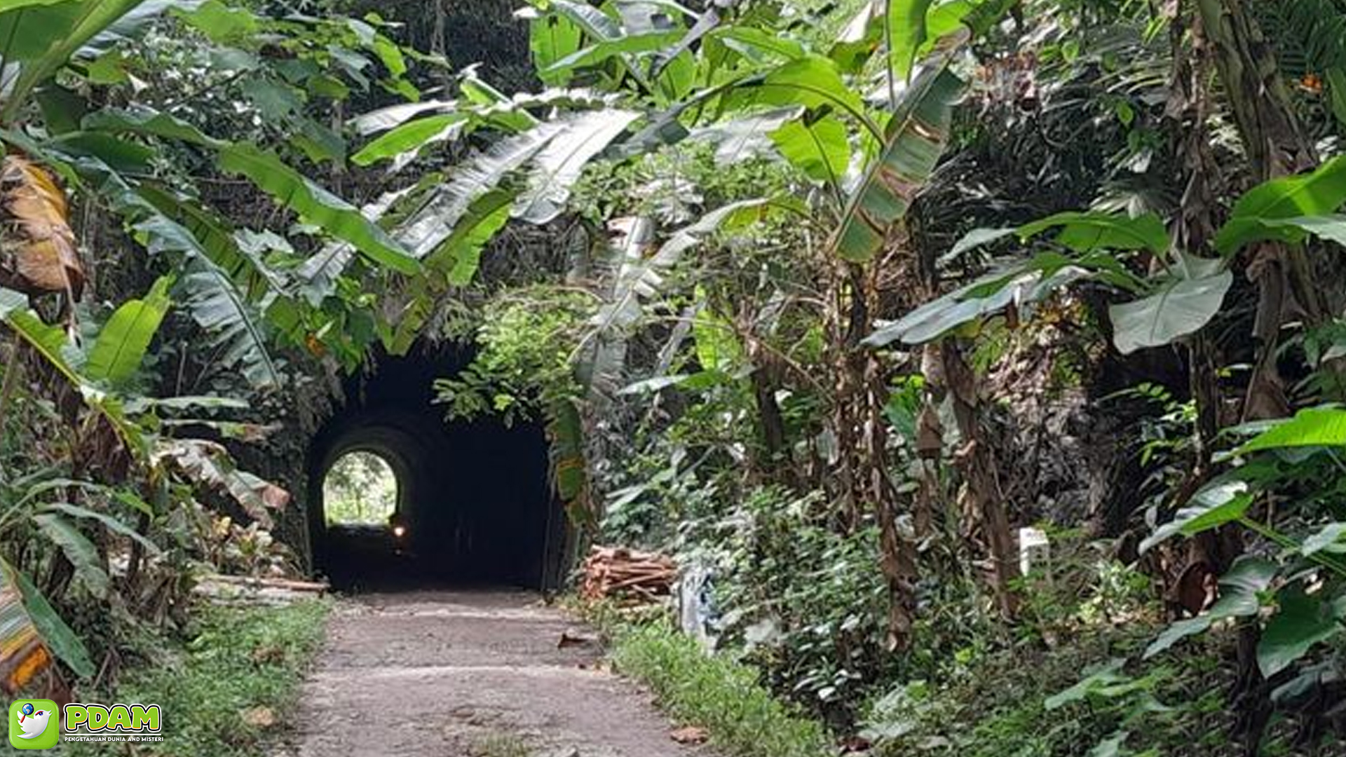 Menguak Misteri Terowongan Wilhelmina Lewat 5 Fakta & Mitos