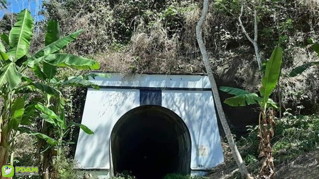 Menguak Misteri Terowongan Wilhelmina Lewat 5 Fakta & Mitos