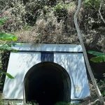 Menguak Misteri Terowongan Wilhelmina Lewat 5 Fakta & Mitos 6 Menguak Misteri Terowongan Wilhelmina Lewat 5 Fakta & Mitos