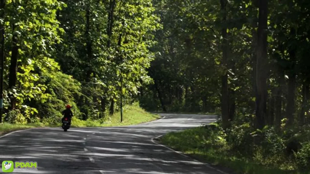 Alas Baluran: 5 Alasan Mengapa Tempat Ini Penuh Misteri 2 Alas Baluran: 5 Alasan Mengapa Tempat Ini Penuh Misteri
