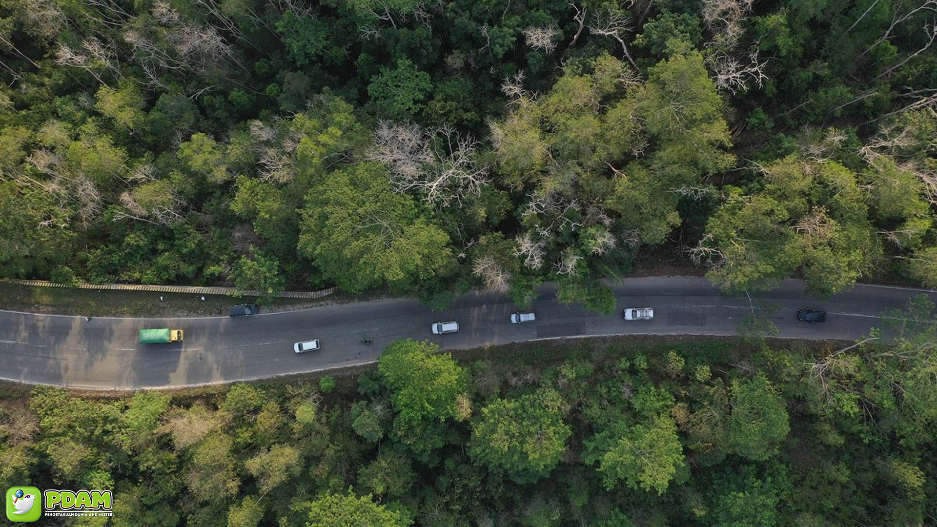 5 Kejadian Misterius di Bukit Soeharto yang Perlu Dicatat