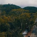 5 Kejadian Misterius di Bukit Soeharto yang Perlu Dicatat