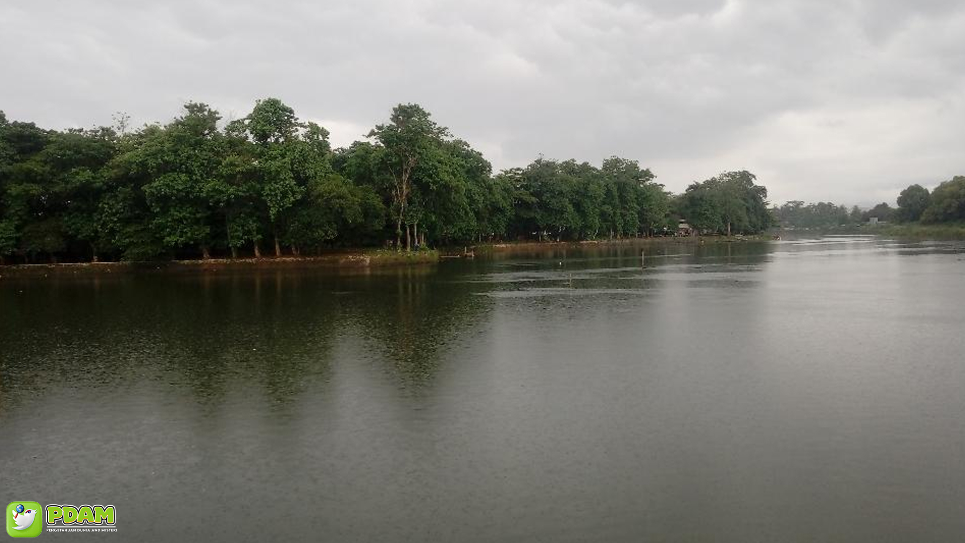 Menyingkap 5 Fenomena Misteri di Situ Cikareti yang Bikin Penasaran