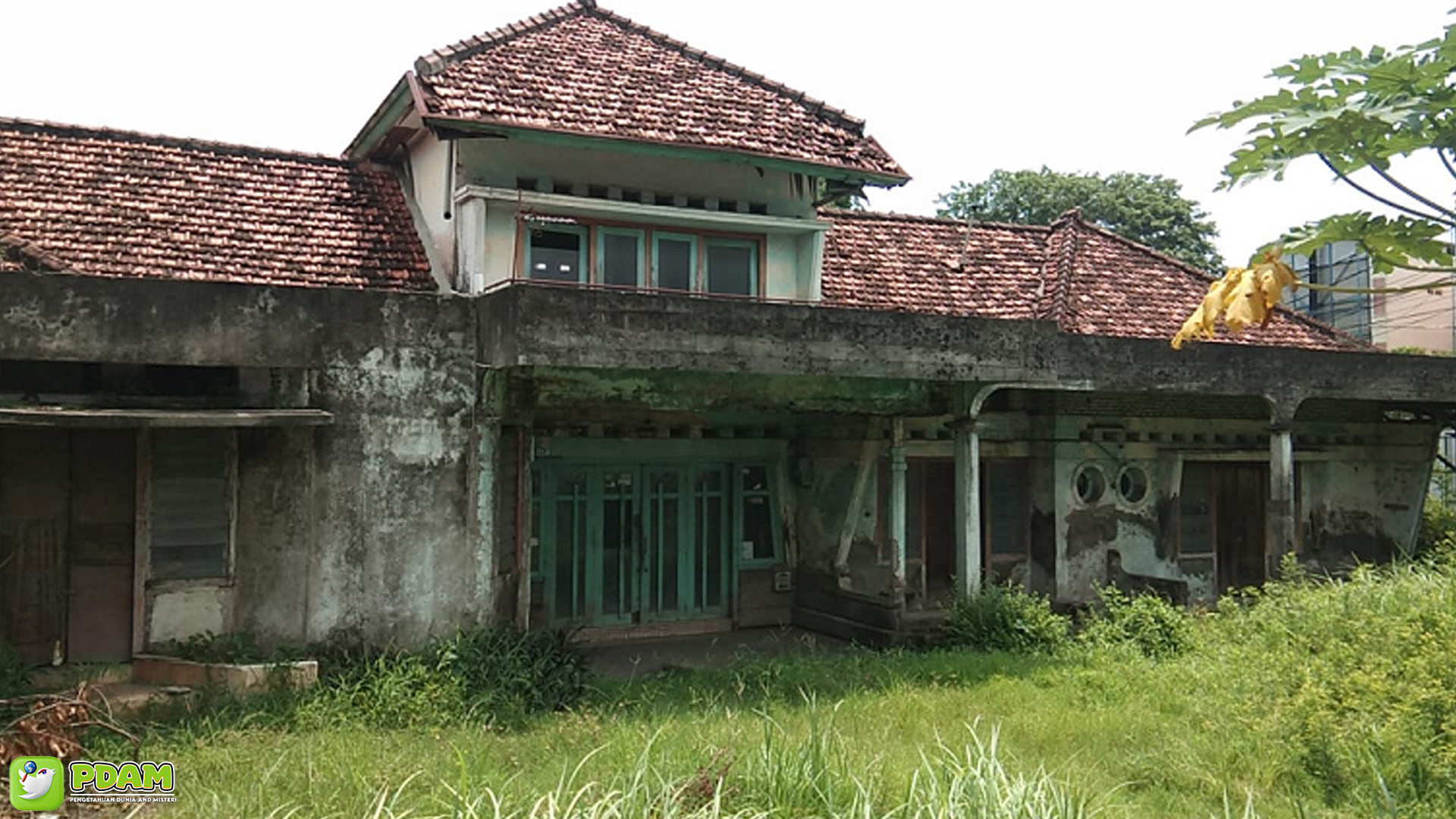 Misteri Terbengkalainya Penginapan Beringin: 5 Cerita dari Warga Sekitar