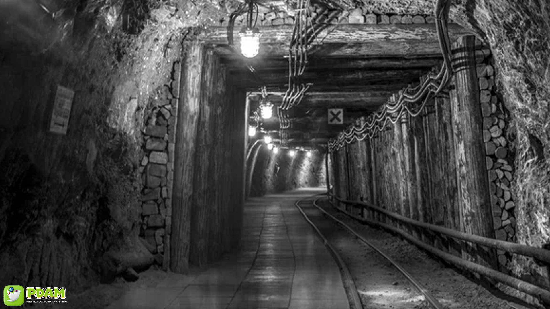 Terowongan Batu Bara Tawarkan 5 Misteri yang Masih Tersimpan 1 Terowongan Batu Bara Tawarkan 5 Misteri yang Masih Tersimpan