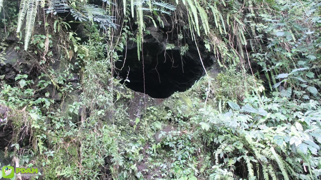 Kisah Goa Genteng dan 5 Kejadian Aneh yang Didokumentasikan