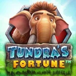 Expert Review 5 Aspek Accessibility Tundra's Fortune Buat Pemula