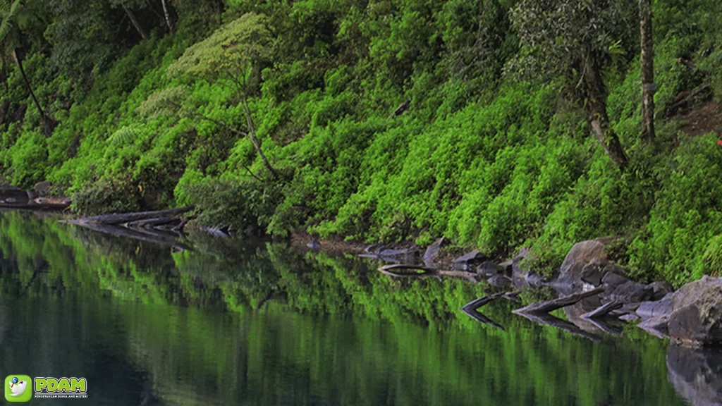 Danau Gunung Tujuh & 5 Kejadian Misteri yang Jadi Sorotan Warga