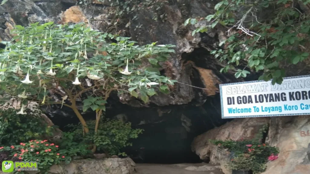 Goa Loyang Koro dan 5 Cerita Misteri Yang Bikin Merinding