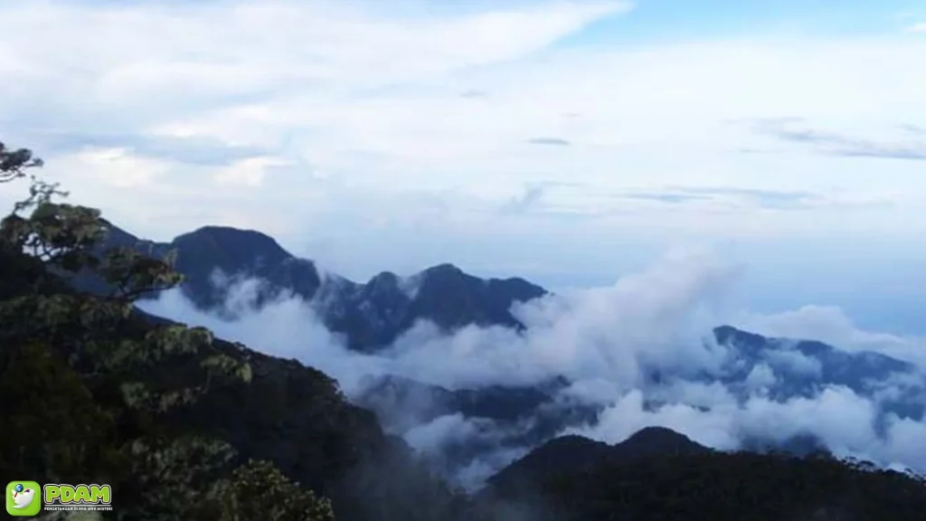 Mekongga Kolaka Utara Hantu: 5 Kisah Pendaki Hilang Gaib Abis 3 Mekongga Kolaka Utara Hantu: 5 Kisah Pendaki Hilang Gaib Abis