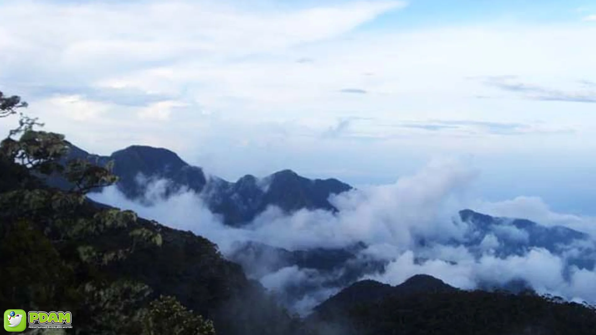 Mekongga Kolaka Utara Hantu: 5 Kisah Pendaki Hilang Gaib Abis