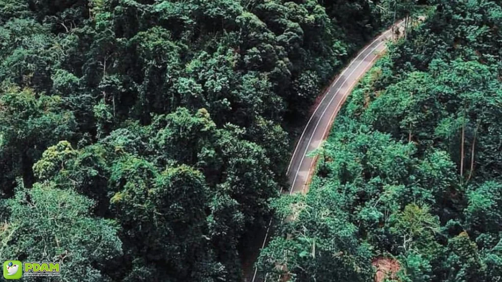 Suara Gaib Hutan Bukit Barisan: 4 Fenomena Pendaki Hilang Misterius 1 Suara Gaib Hutan Bukit Barisan: 4 Fenomena Pendaki Hilang Misterius