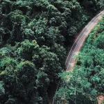 Suara Gaib Hutan Bukit Barisan: 4 Fenomena Pendaki Hilang Misterius 4 Suara Gaib Hutan Bukit Barisan: 4 Fenomena Pendaki Hilang Misterius