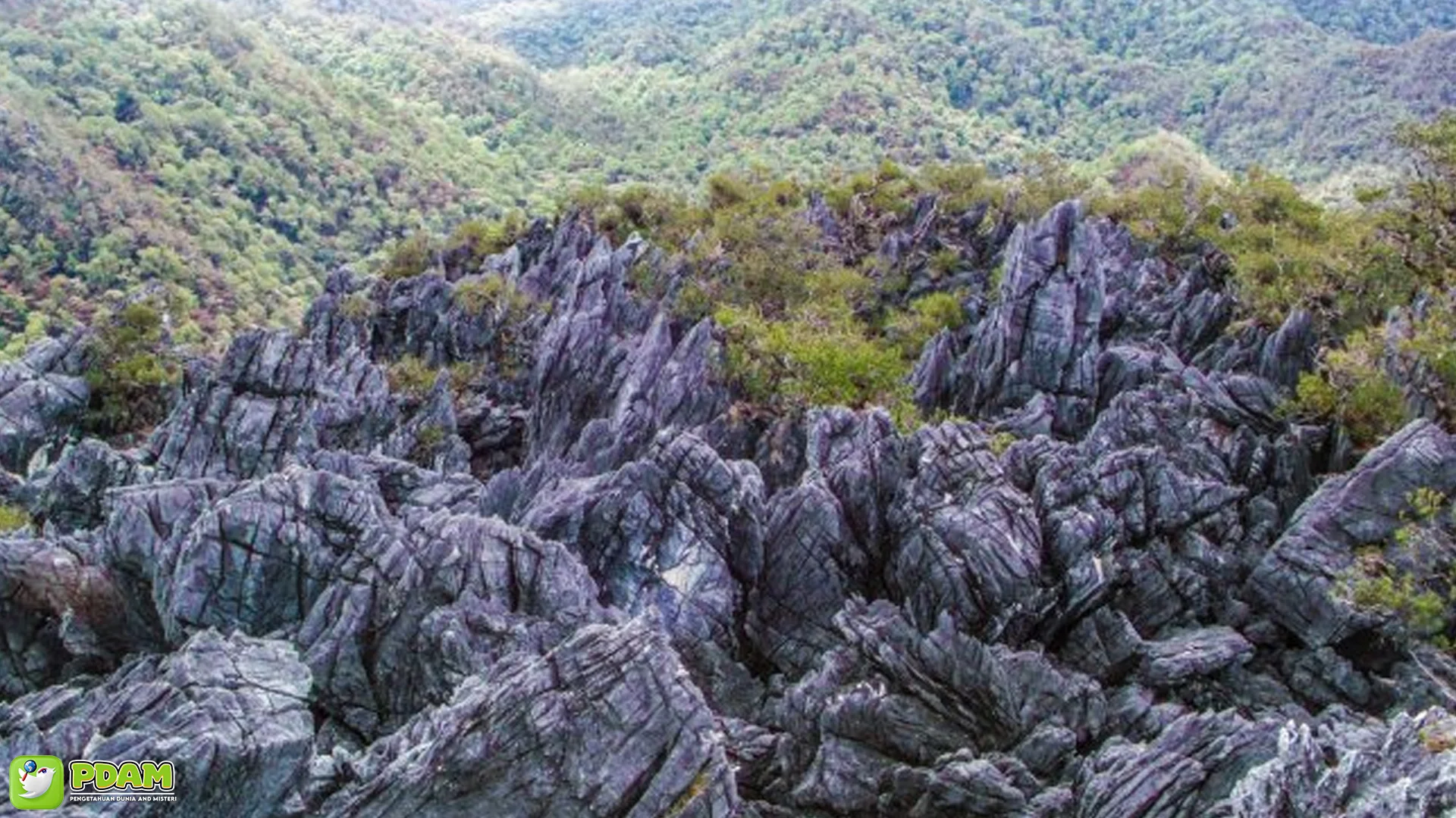 Mekongga Kolaka Utara Hantu: 5 Kisah Pendaki Hilang Gaib Abis